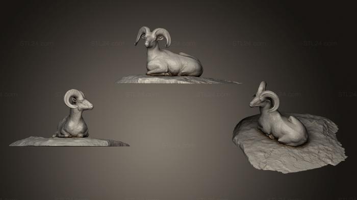 Animal figurines (Ram Statue, STKJ_0611) 3D models for cnc